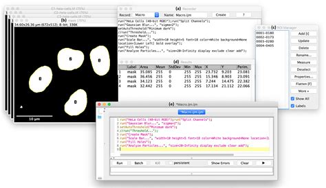 imagej wiki|The ImageJ ecosystem: Open‐source software for image .